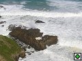 thn_The Catlins Coast 025.jpg